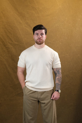 Çizgili Triko Erkek T-Shirt | Bisiklet Yaka
